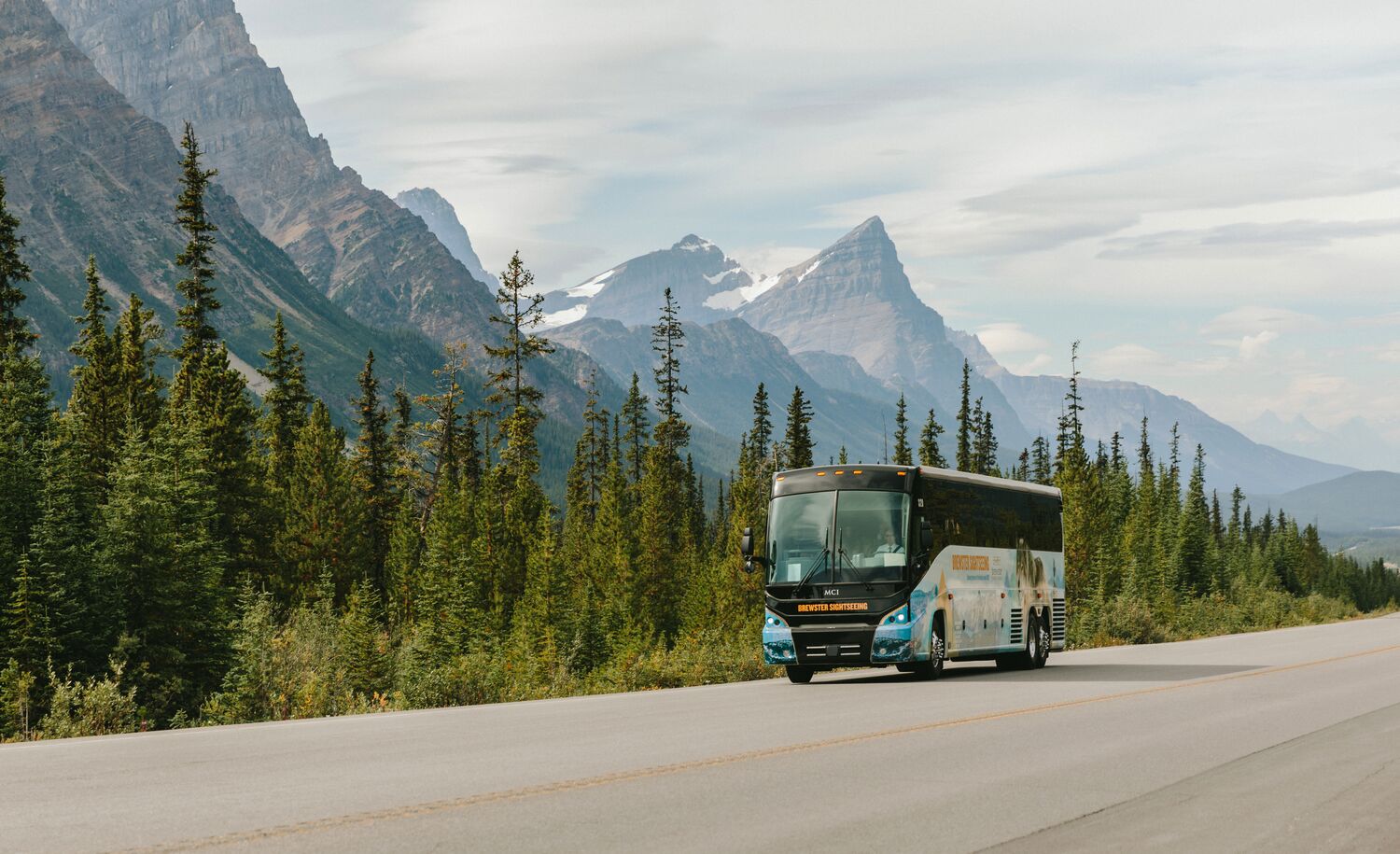 A Brewster Express bus driving in Banff National Park
