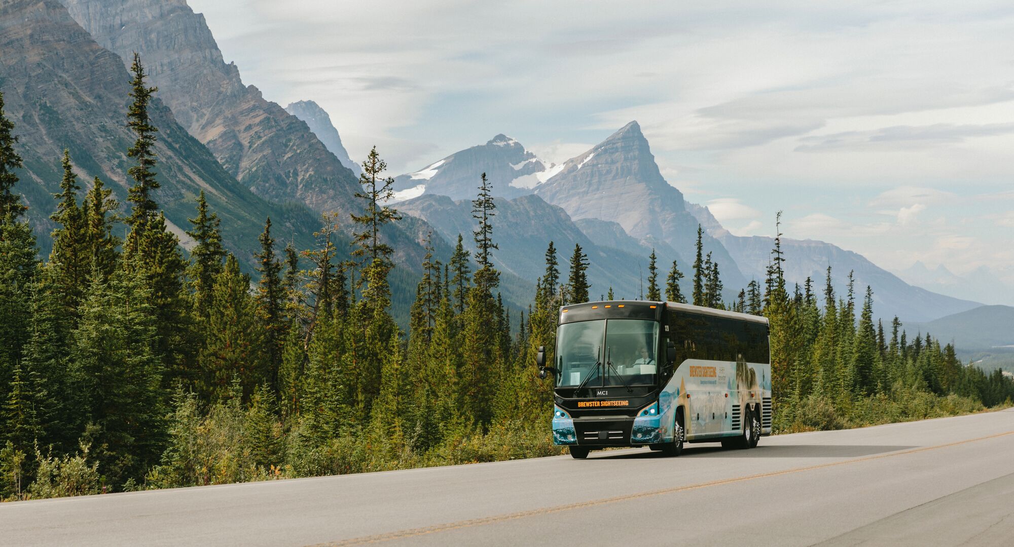 A Brewster Express bus driving in Banff National Park