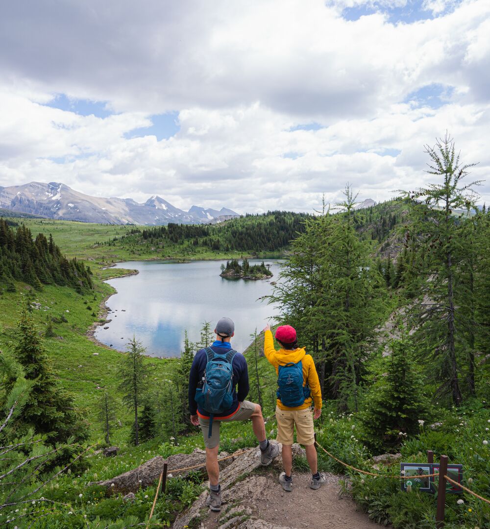 Two people hiking in Sunshine Meadows in Banff National Park