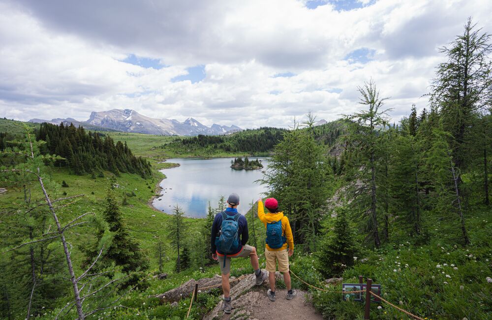 Two people hiking in Sunshine Meadows in Banff National Park