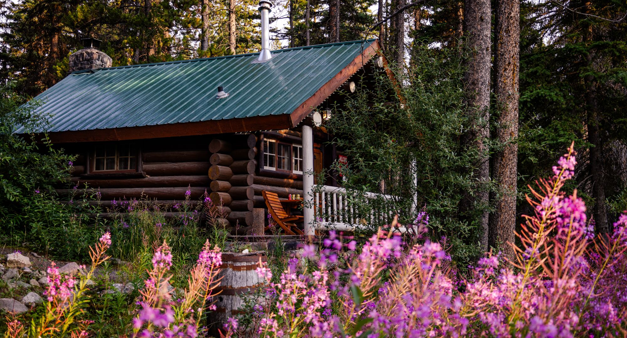 Cozy log cabin nestled among towering pine trees, framed by vibrant wildflowers in bloom during the summer season.