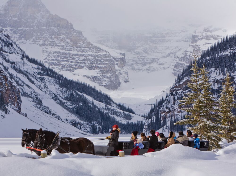 A sleigh ride going along the Lake Louise Lakeshore in Banff National Park