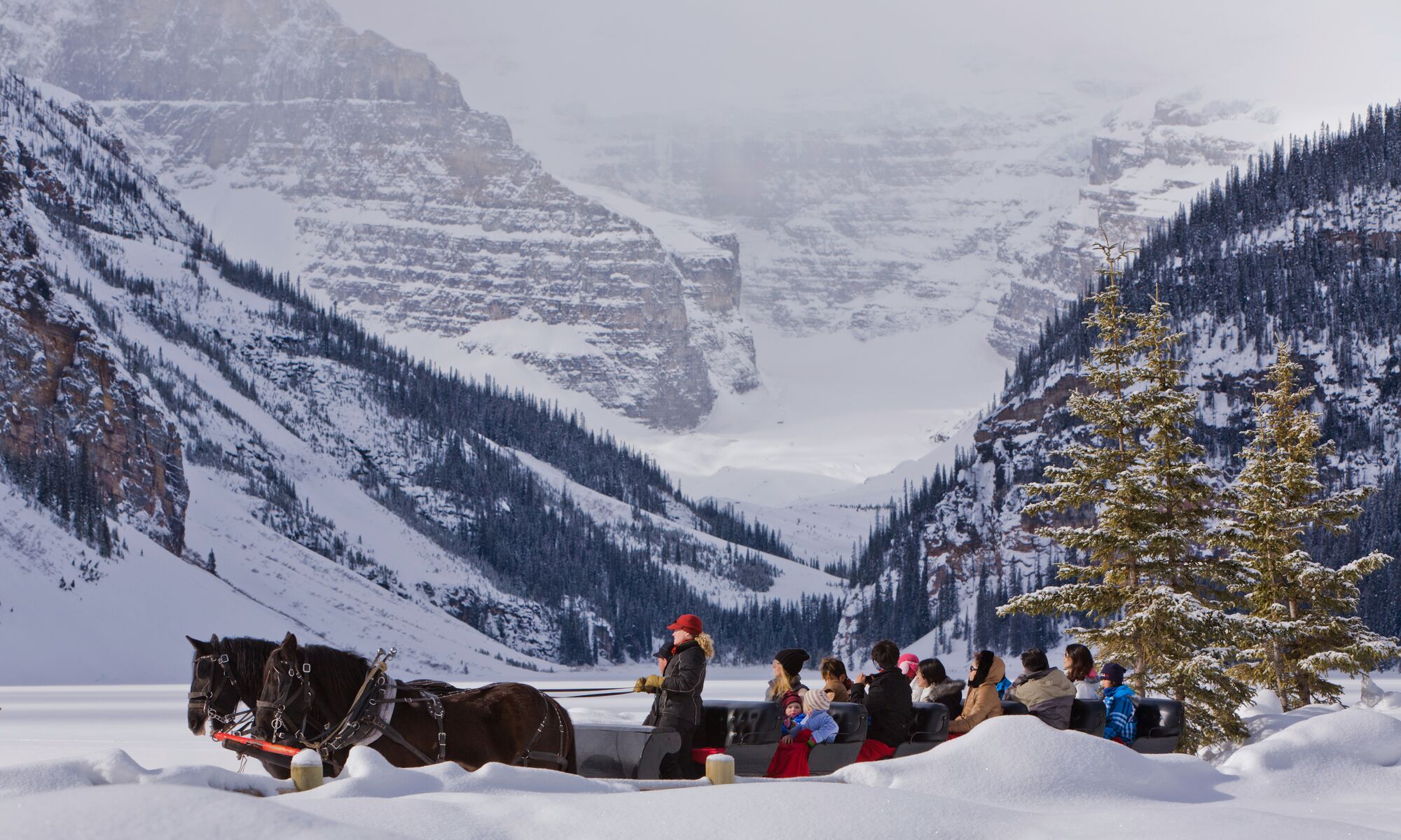A sleigh ride going along the Lake Louise Lakeshore in Banff National Park