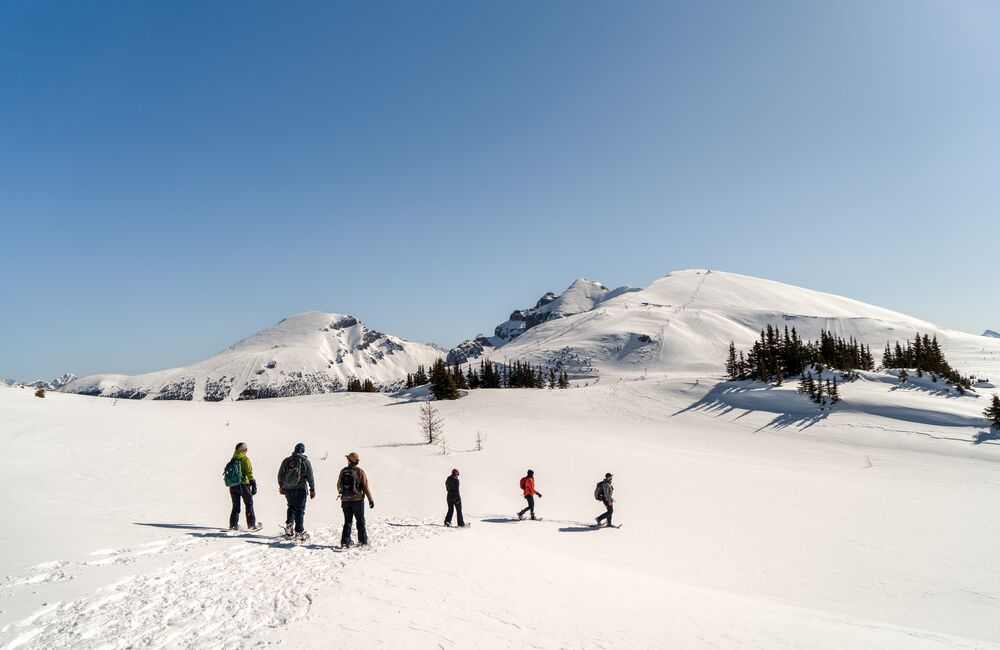 A group of people on a guided snowshoe tour at Sunshine Village in Banff National Park