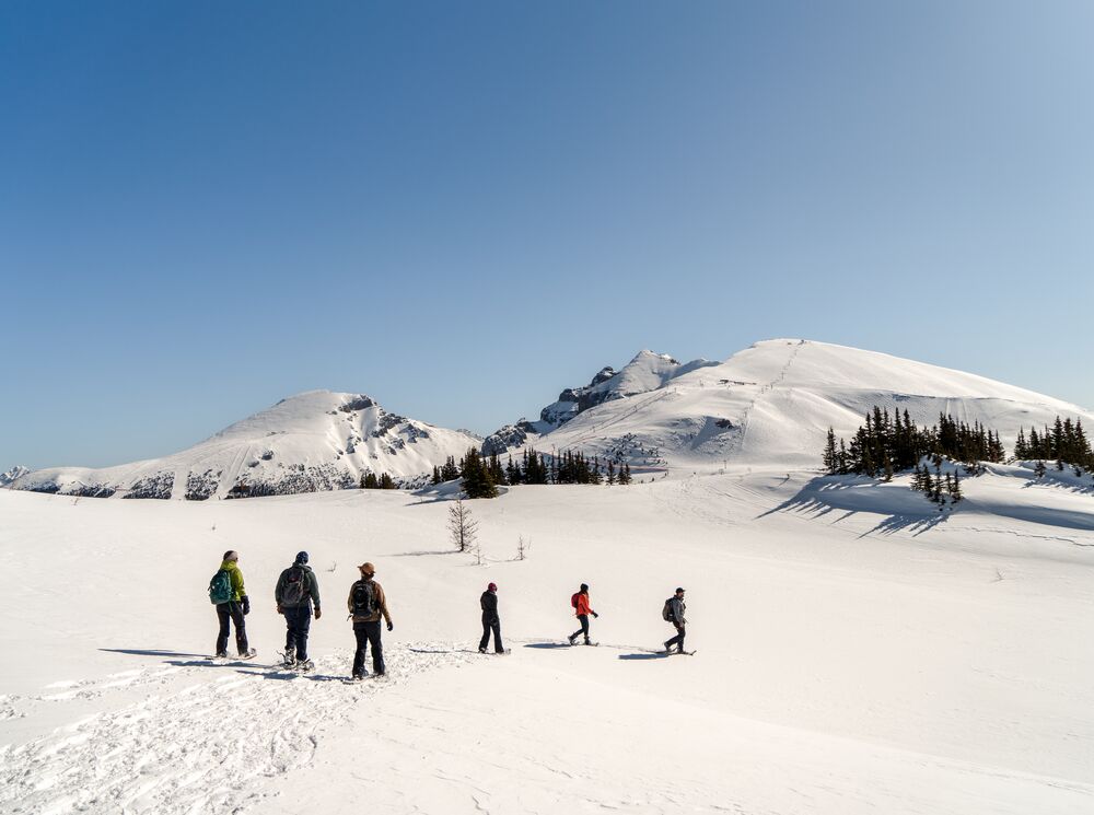 A group of people on a guided snowshoe tour at Sunshine Village in Banff National Park