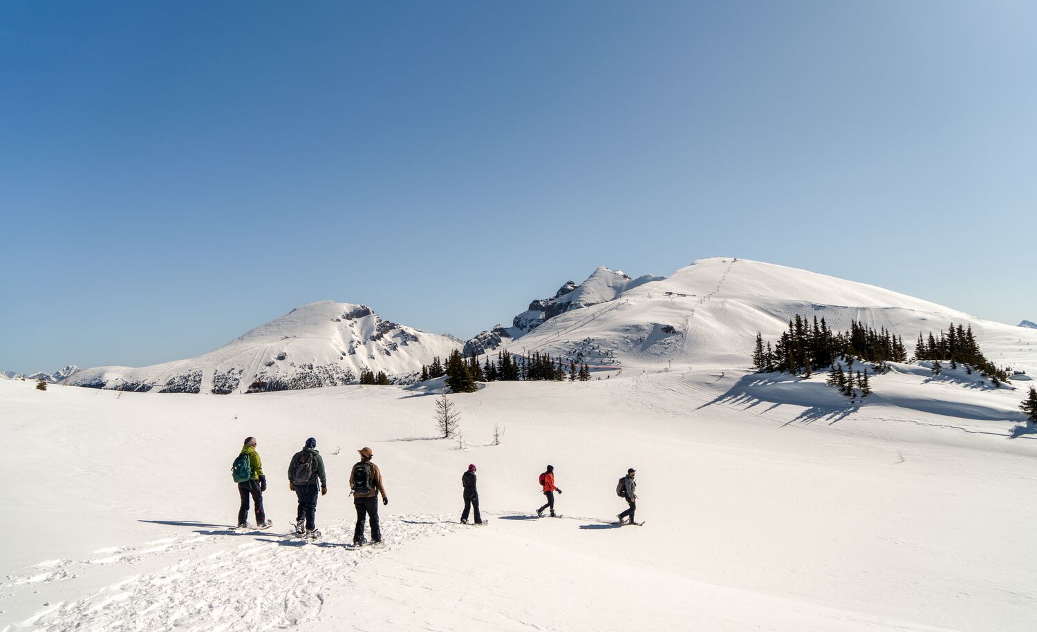 A group of people on a guided snowshoe tour at Sunshine Village in Banff National Park