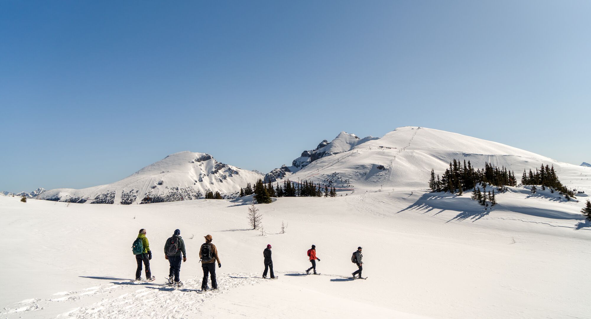 A group of people on a guided snowshoe tour at Sunshine Village in Banff National Park