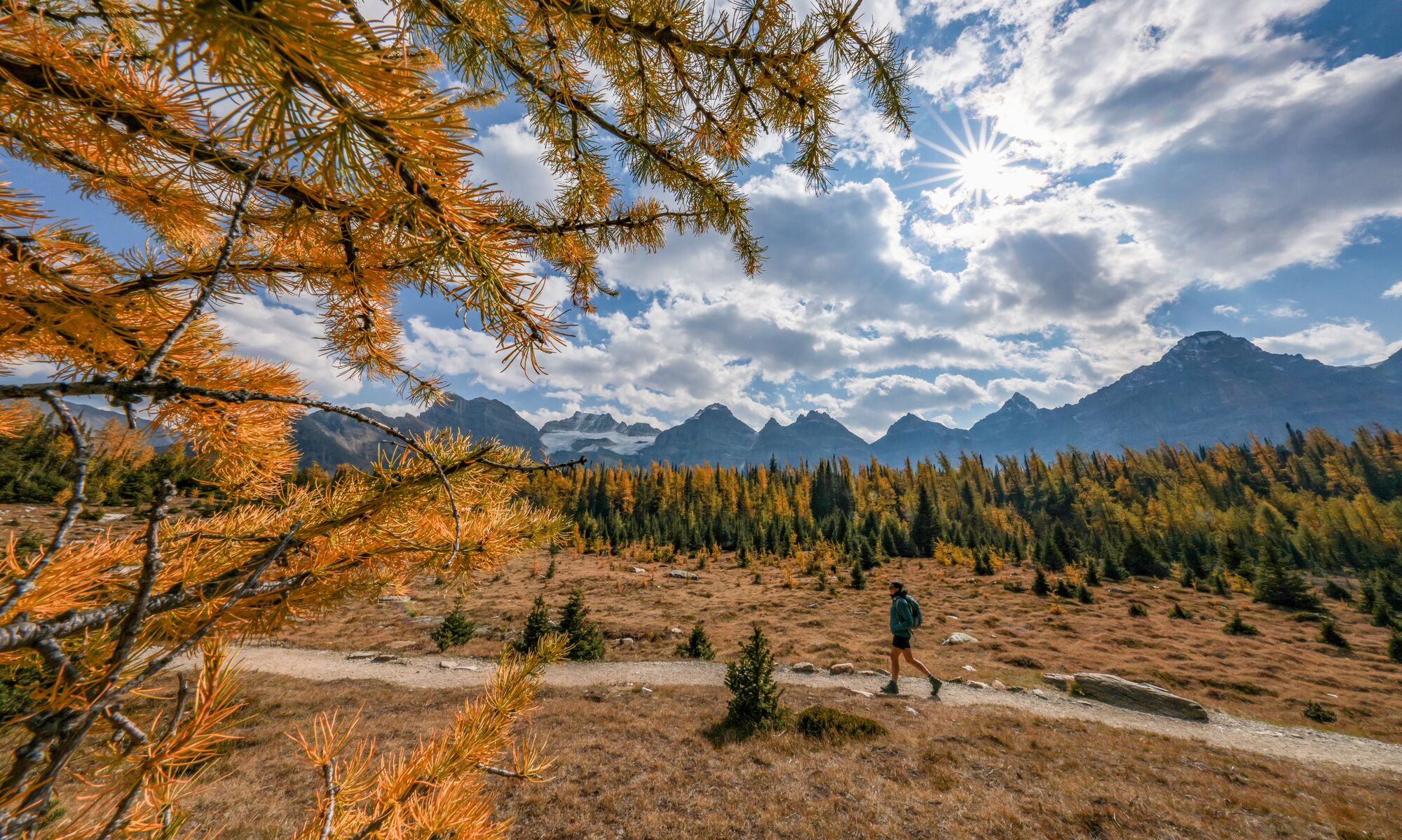 A person hiking Larch Valley during larch season in Banff National Park