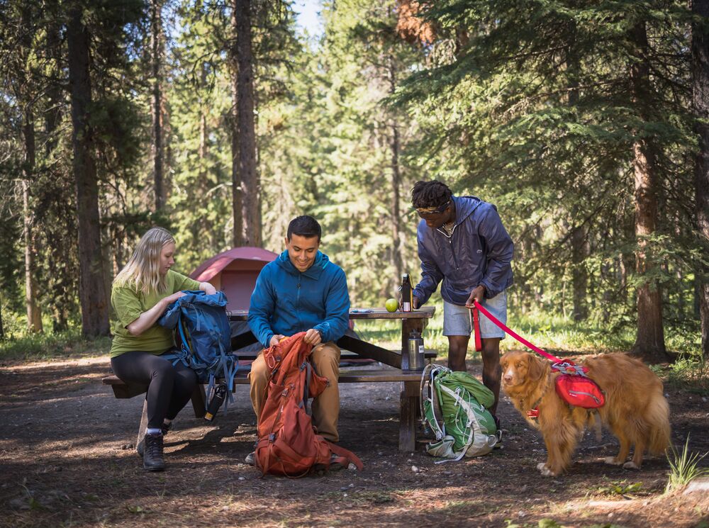 People camping with their dog in Banff National Park