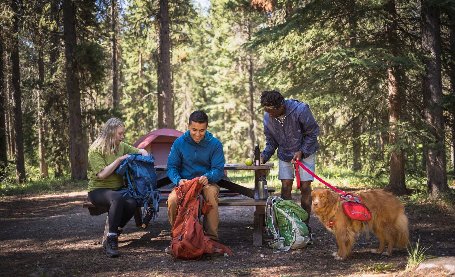 People camping with their dog in Banff National Park