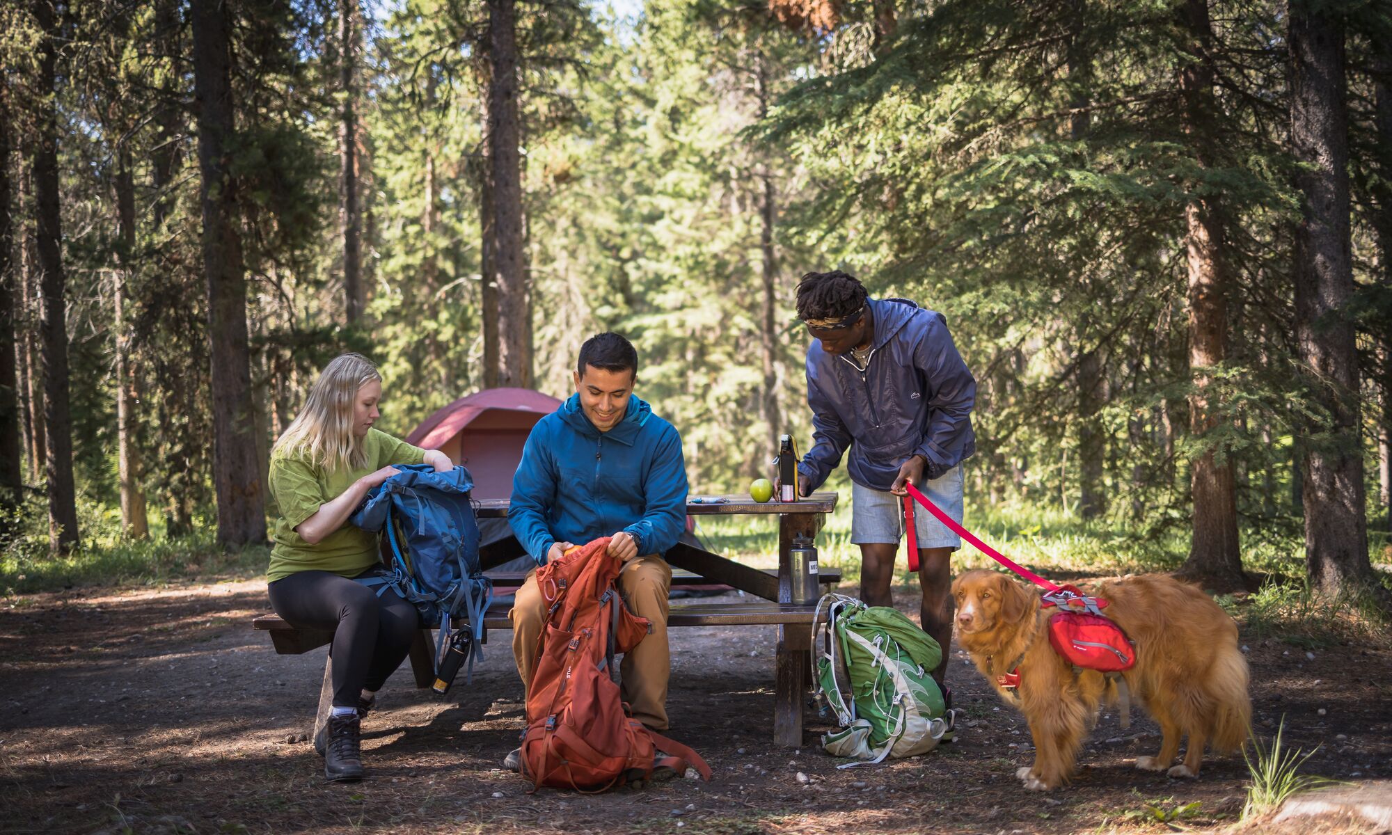 People camping with their dog in Banff National Park