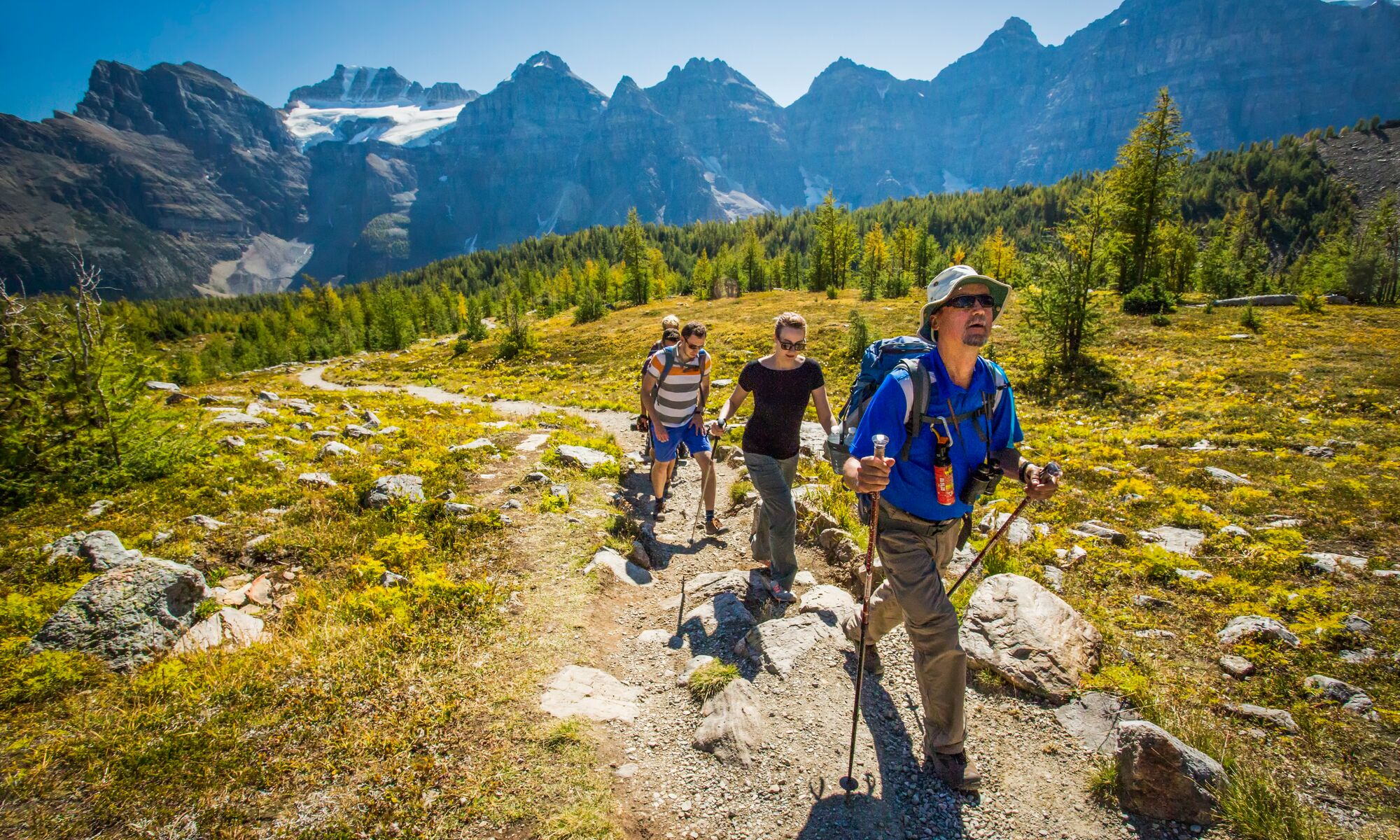 Three people on a guided hiking tour through the mountains in Banff National Park