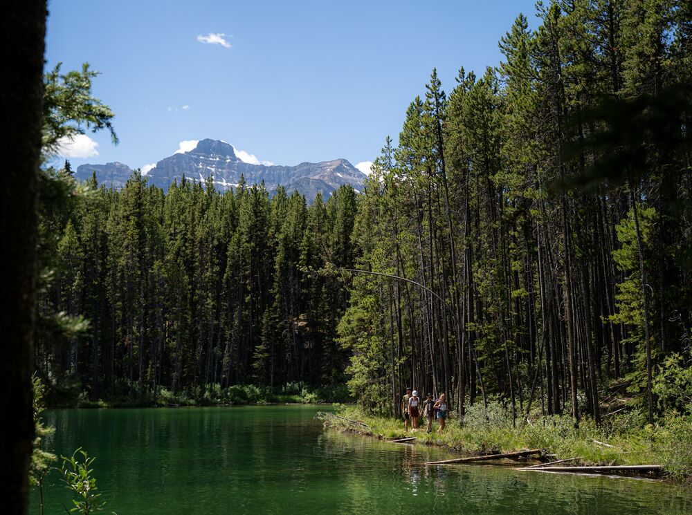 People walking along Herbert Lake Lakeshore in Banff National Park