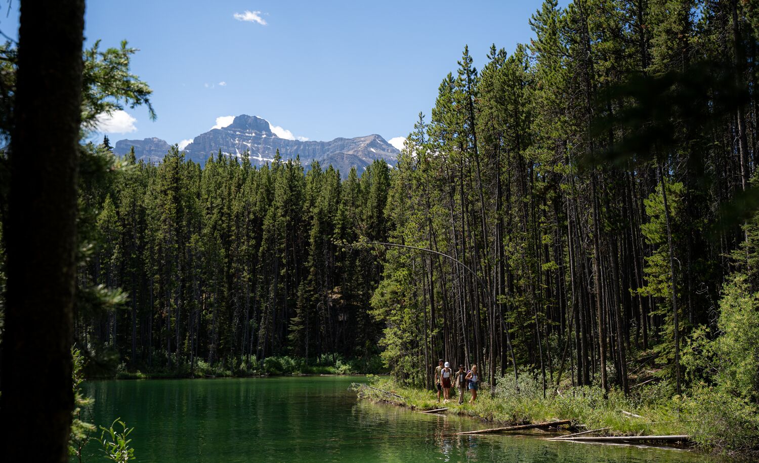 People walking along Herbert Lake Lakeshore in Banff National Park
