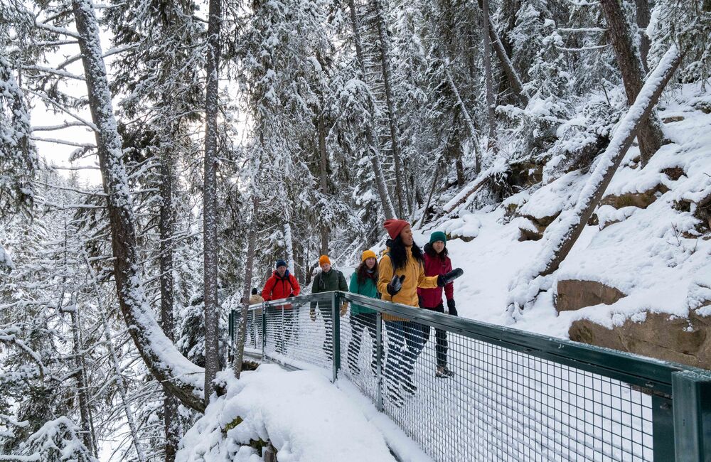 A group of people on a guided ice walk tour in Johnston Canyon in Banff National Park