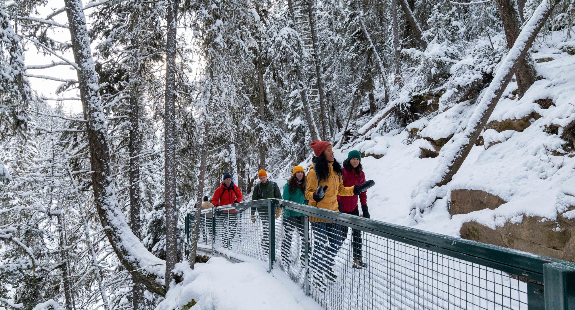 A group of people on a guided ice walk tour in Johnston Canyon in Banff National Park