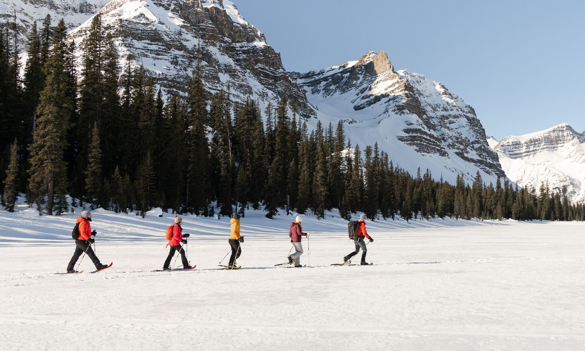A group of people on a guided snowshoeing tour in Banff National Park