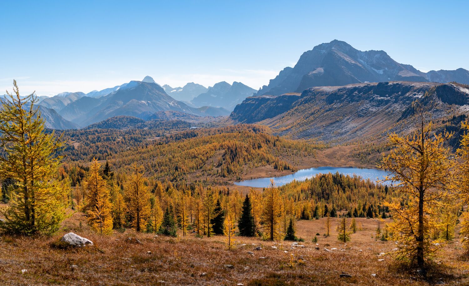 A landscape with mountains, a lake, and golden larch trees in Banff National Park