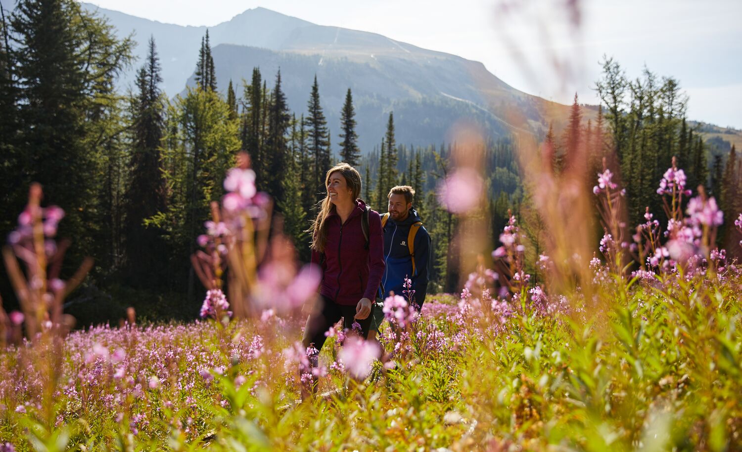 Two people hike amongst wildflowers at Sunshine Meadows in Banff National Park.