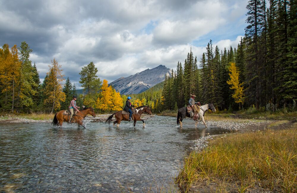 3 horses with riders crossing a stream. Trees with fall colours in background