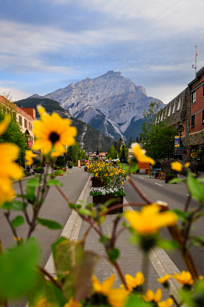 downtown BANFF in alberta, canada