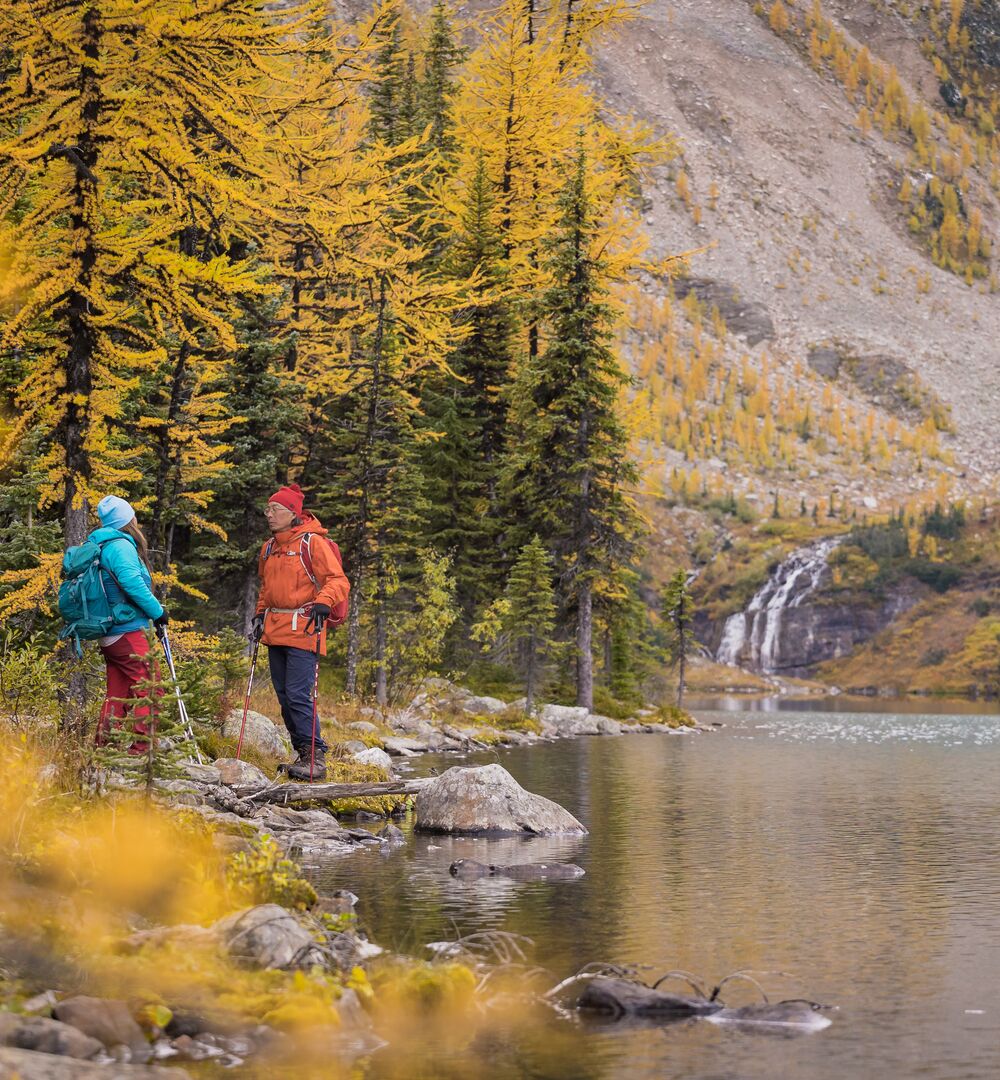 Two people stand on the edge of Taylor Lake in Banff National Park during larch season.