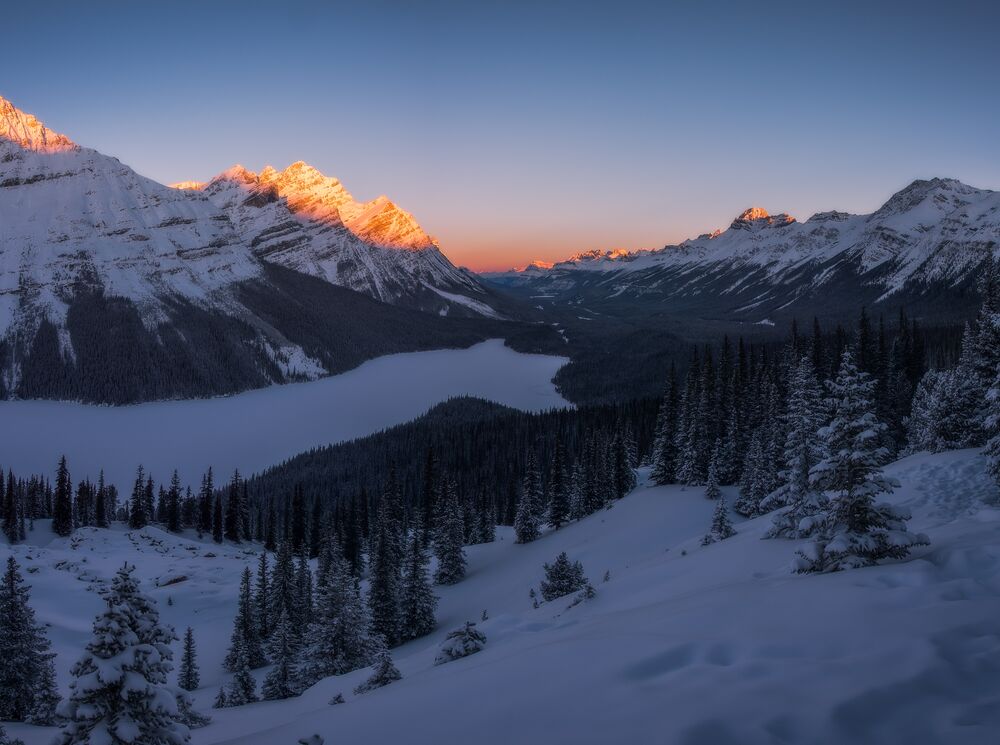 Peyto Lake in the winter at sunrise in Banff National Park.