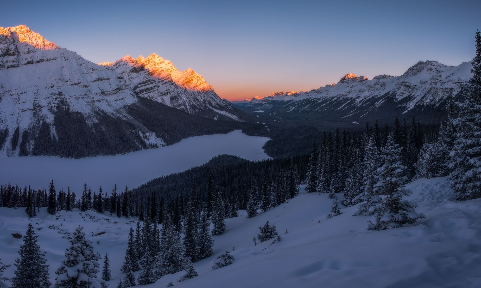 Peyto Lake at sunrise on a winter expedition with Radventures in Banff National Park.