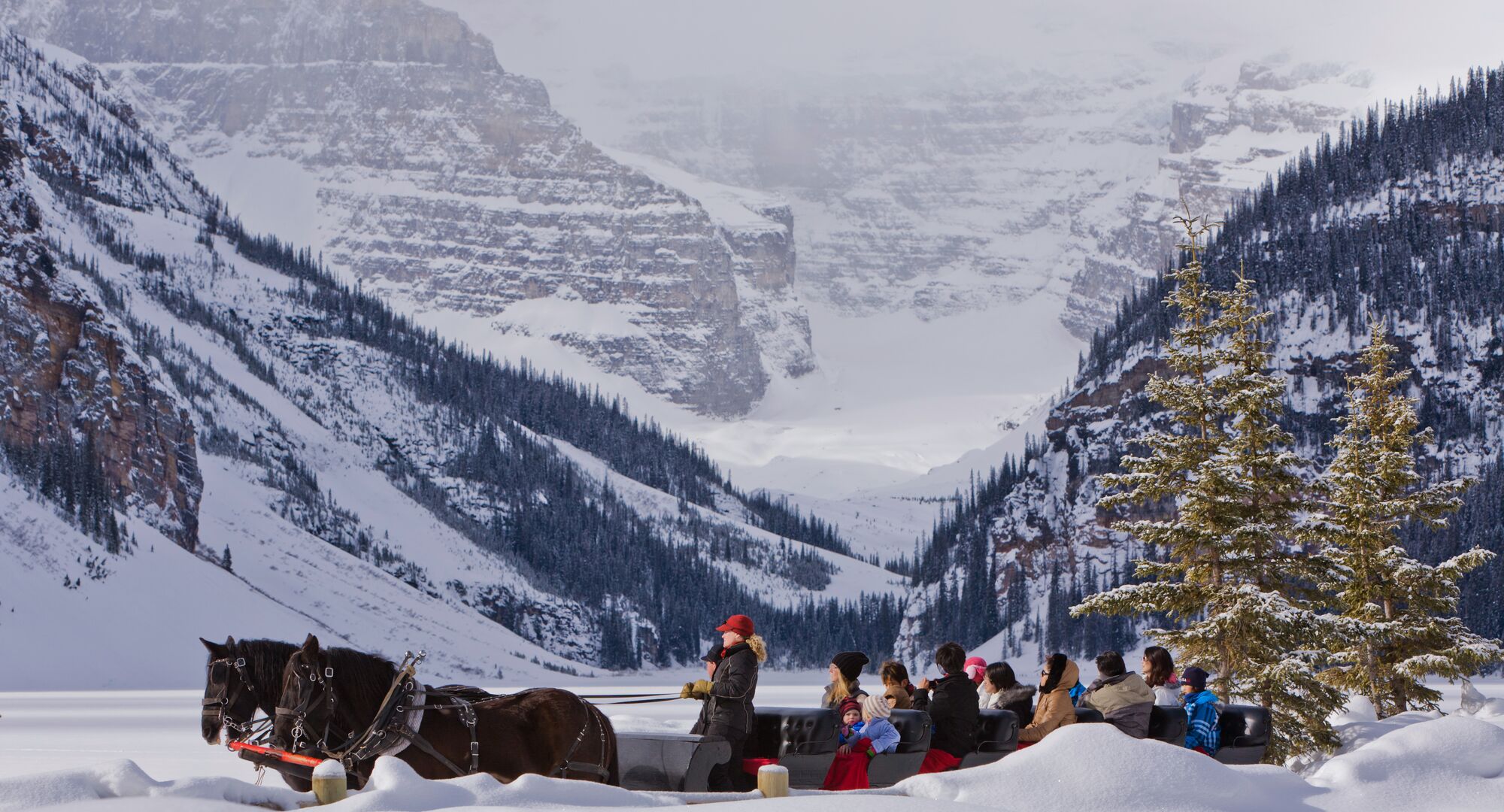 Lake Louise Sleigh Rides
