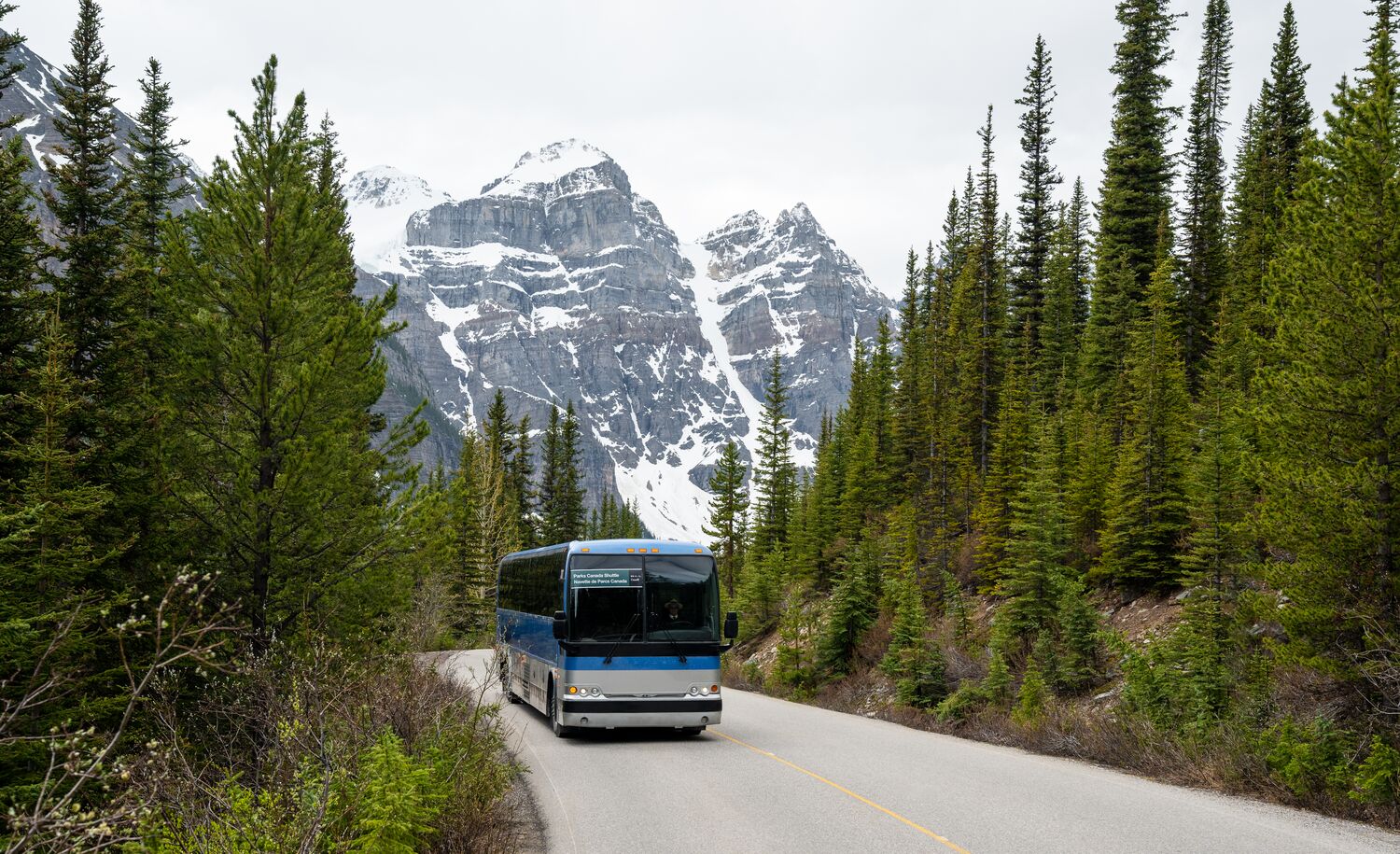 A Parks Canada shuttle drives down Moraine Lake Road, surrounded by evergreen trees with a view of the Valley of the Ten Peaks behind it near Lake Louise in Banff National Park.