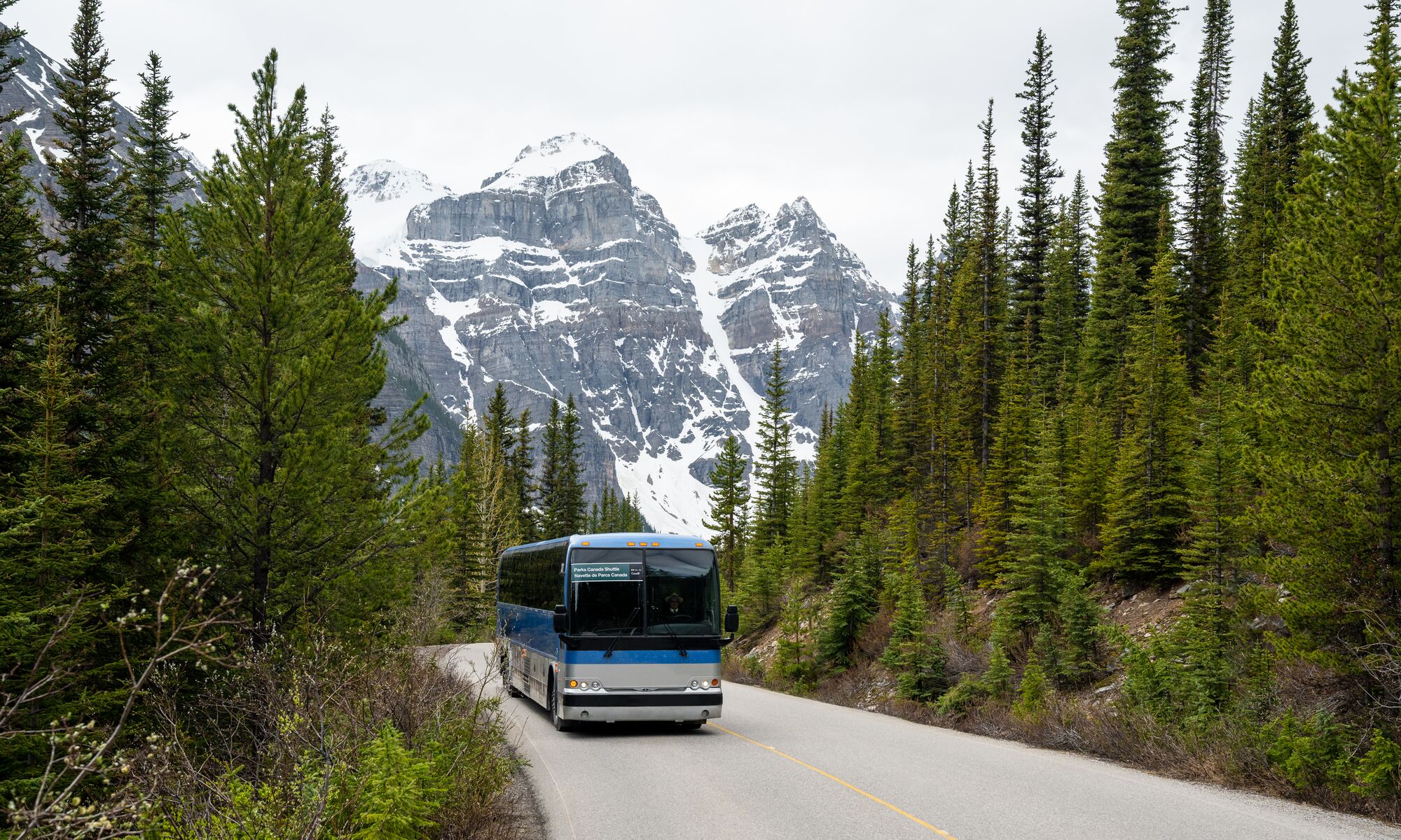 A Parks Canada shuttle drives down Moraine Lake Road, surrounded by evergreen trees with a view of the Valley of the Ten Peaks behind it near Lake Louise in Banff National Park.