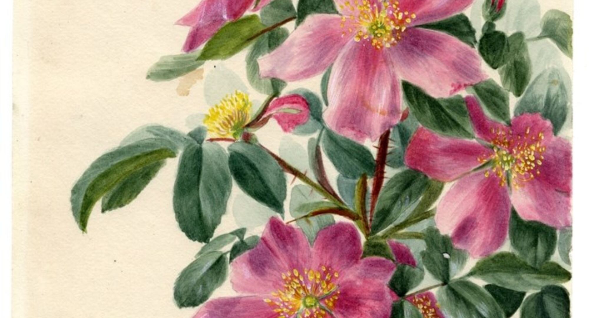 Photo courtesy of The Whyte.