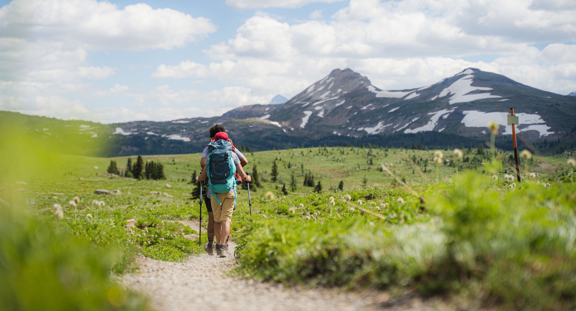 Two people hiking in Sunshine Meadows on a blue day with green grass around them and mountains in the distance. 