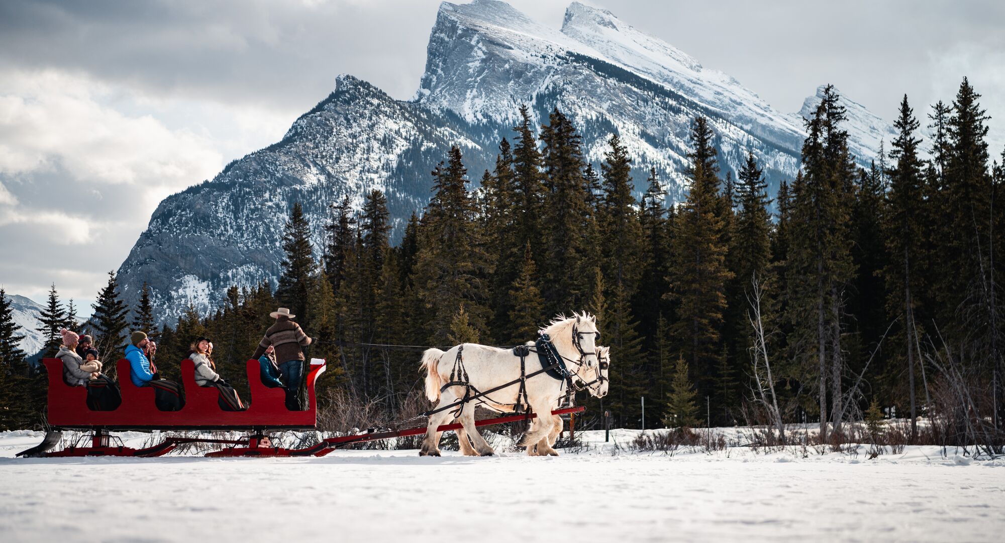 Group of people enjoying a sleigh ride in Banff with views of Mount Rundle