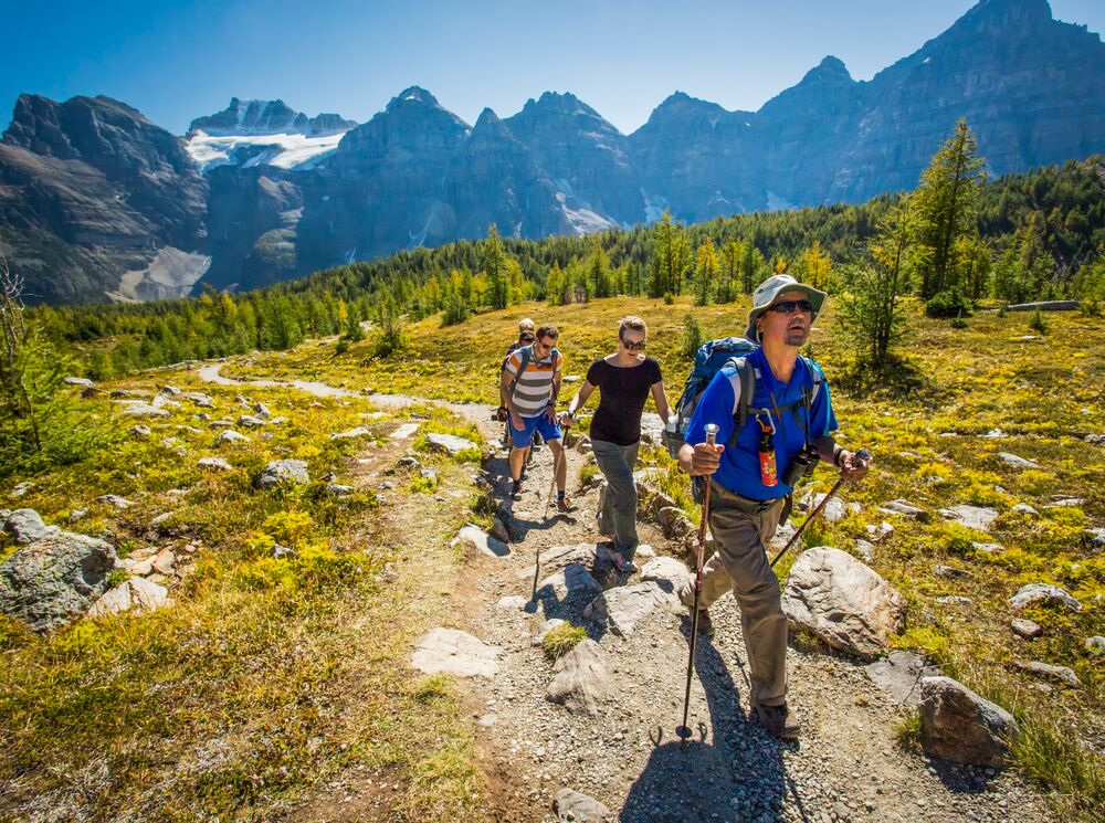 A guided sightseeing experience in Larch Valley with a group of hikers in Banff National Park on a sunny fall day.