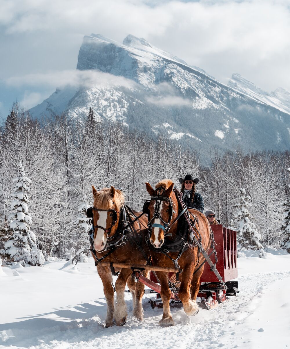 Banff sleigh rides