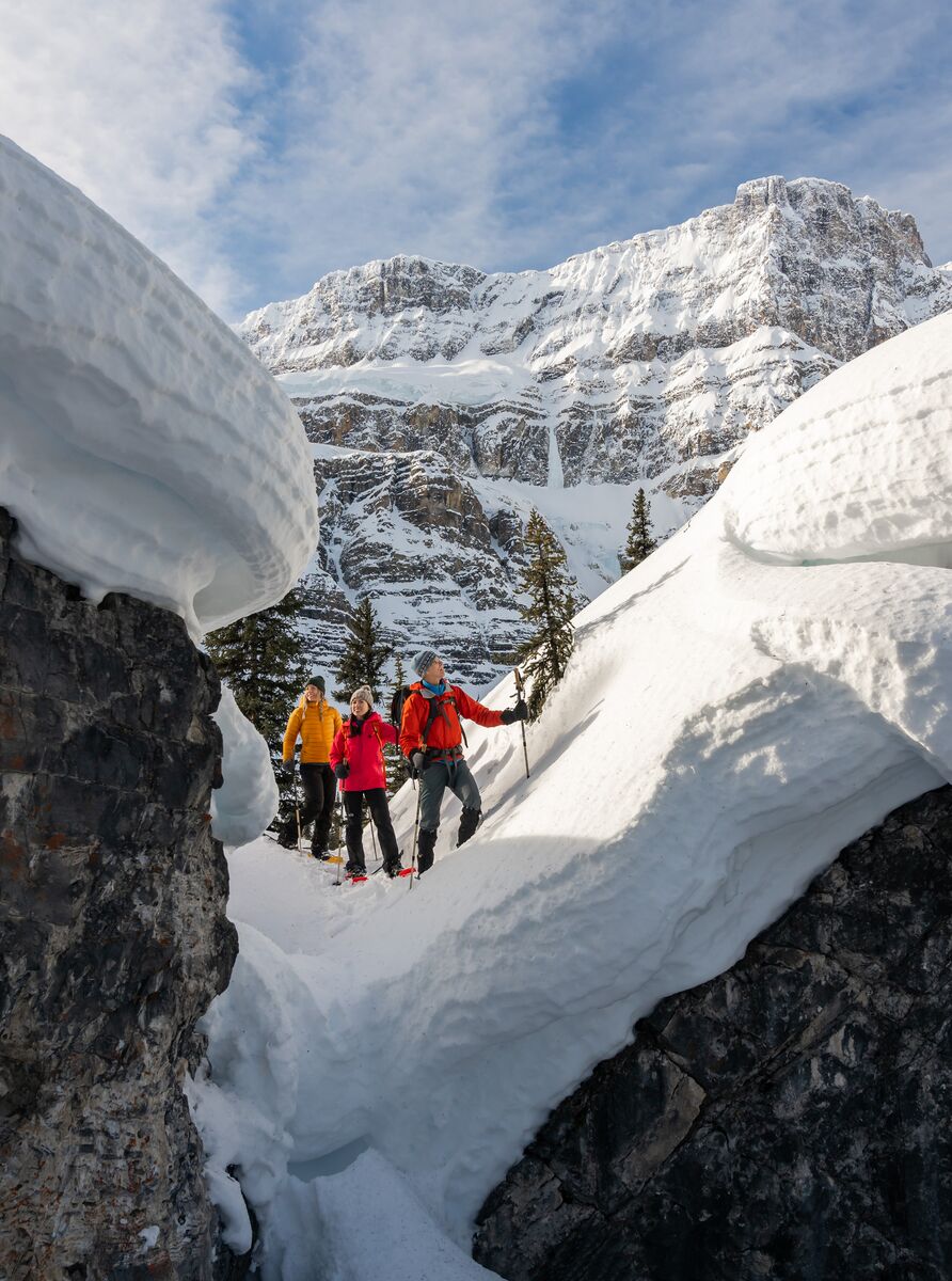 A guided snowshoe experience at Banff Sunshine village with Great Divide Nature Interpretation. 