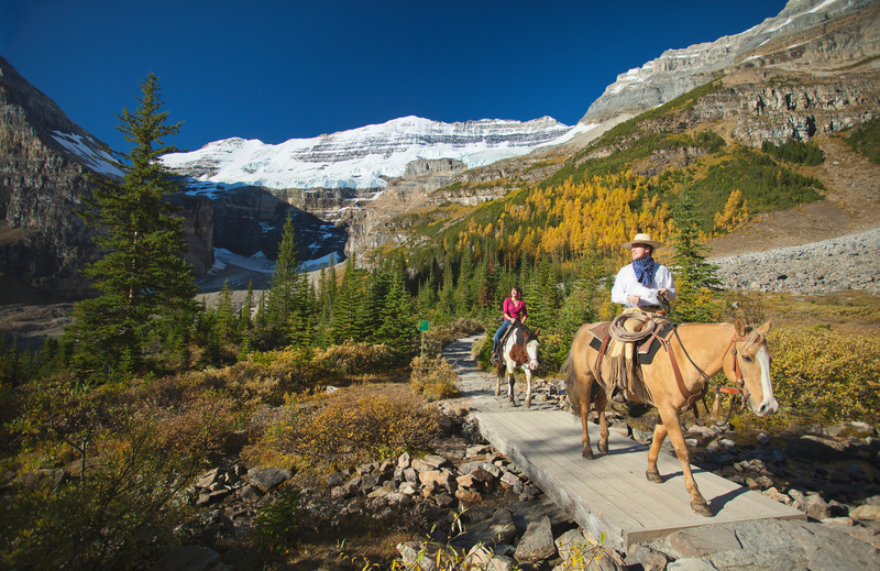 Horse Drawn Carriage Ride  Banff & Lake Louise Tourism