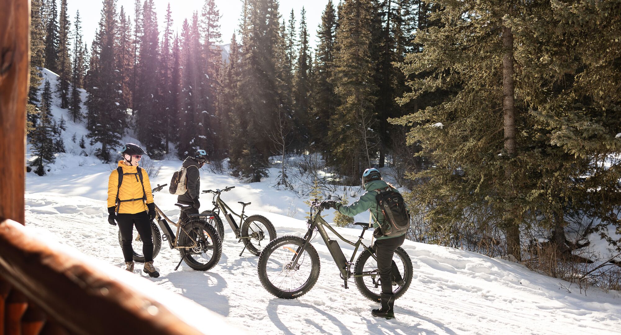 Guided E-fat Biking Tour