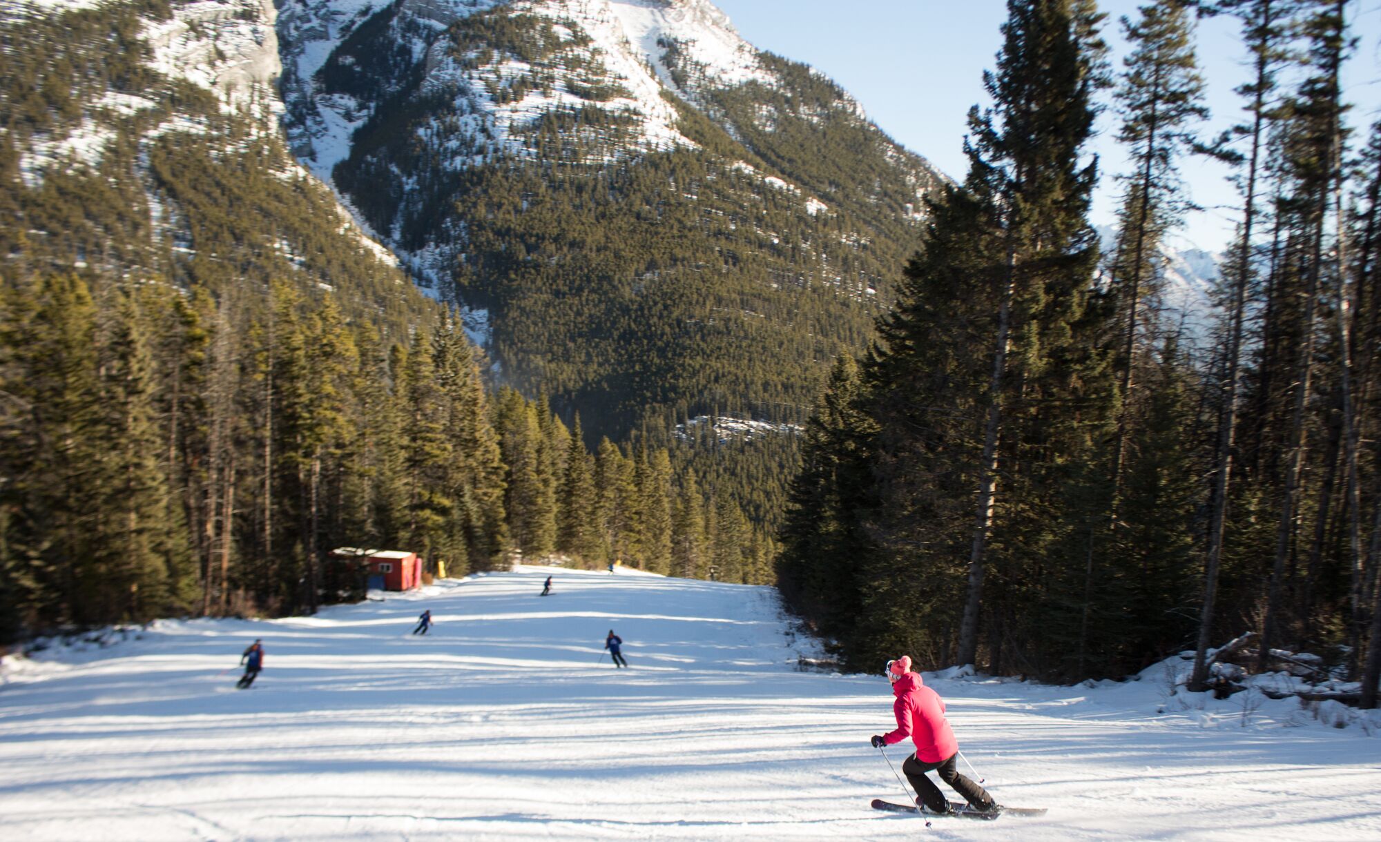 Skiers head down the Crazy Canuck run at Mt. Norquay Ski Resort in Banff National Park.