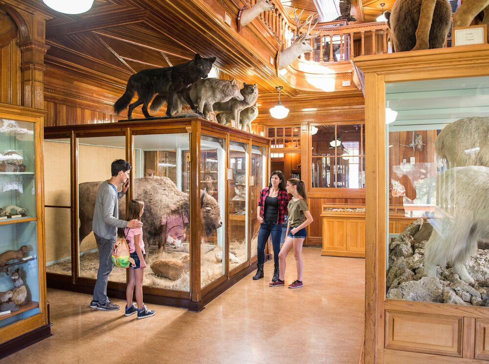A family viewing the exhibit at the Banff Park Museum