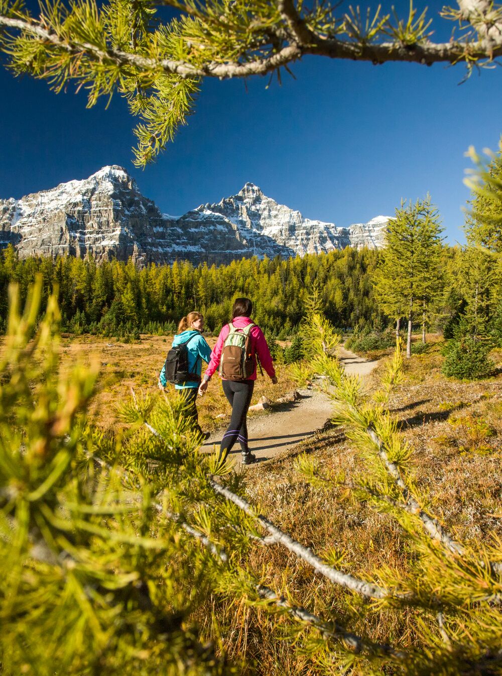 Two people hike through a valley in Lake Louise with mountains surrounding them on a clear summer day