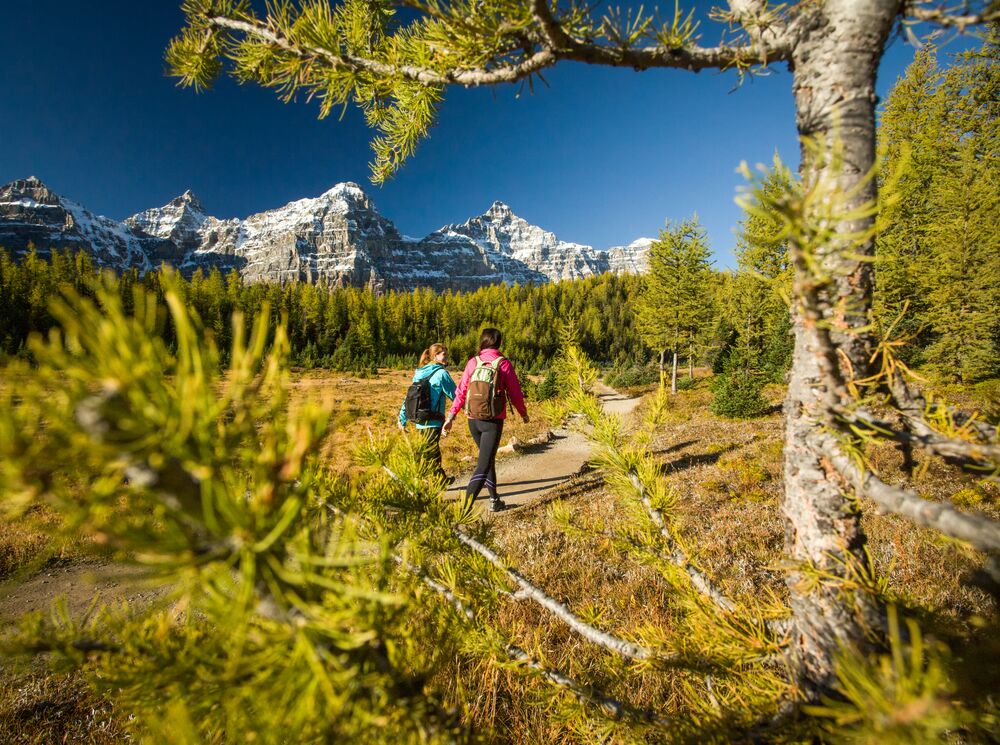 Two hikers travel through Larch Valley towards Sentinel Pass while hiking at Moraine Lake in Banff National Park
