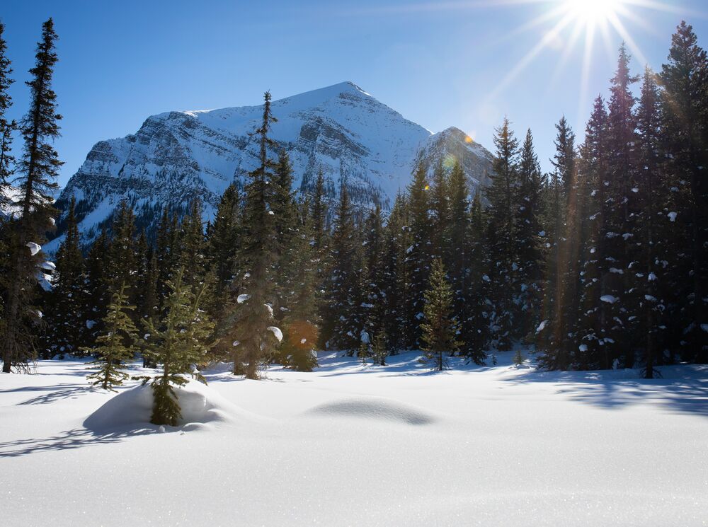 A view of Mount Fairview from the Great Divide Trail in Banff National Park.