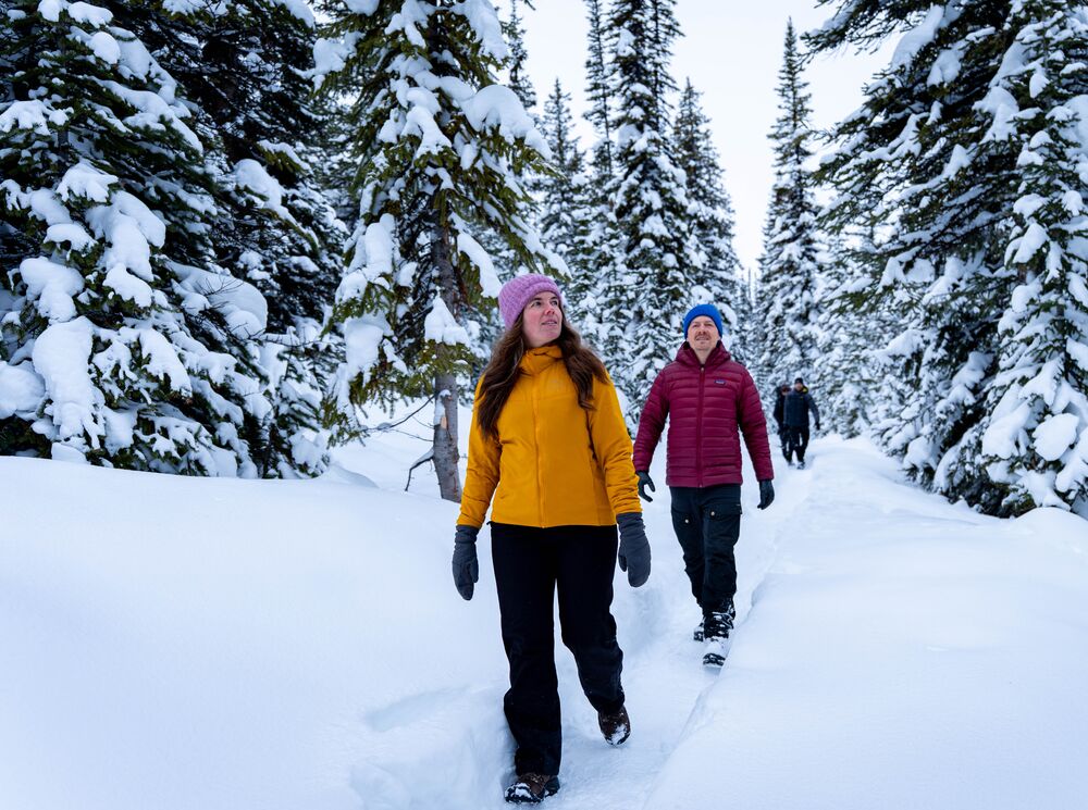 Two people walk in a snowy forest near Peyto Lake in Banff National Park.