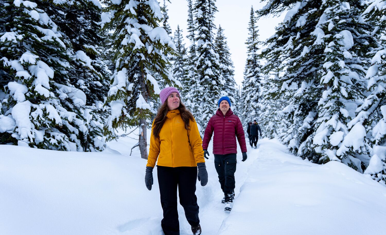 Two people walk in a snowy forest near Peyto Lake in Banff National Park.