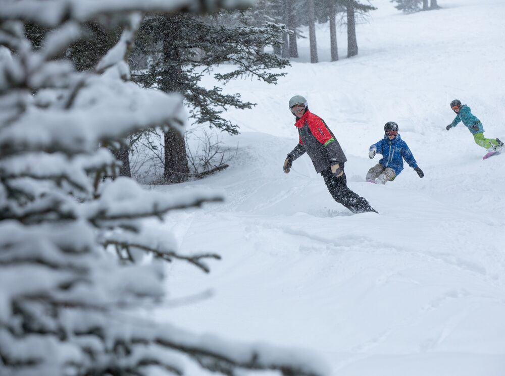 Three people ski down a snowy forested mountain slope at Mt. Norquay in Banff National Park.