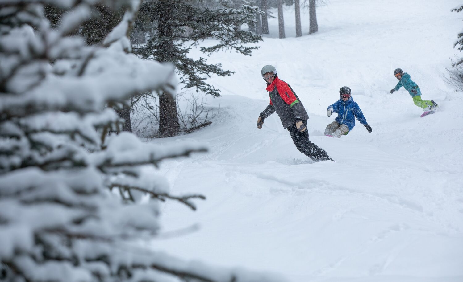 Three people ski down a snowy forested mountain slope at Mt. Norquay in Banff National Park.