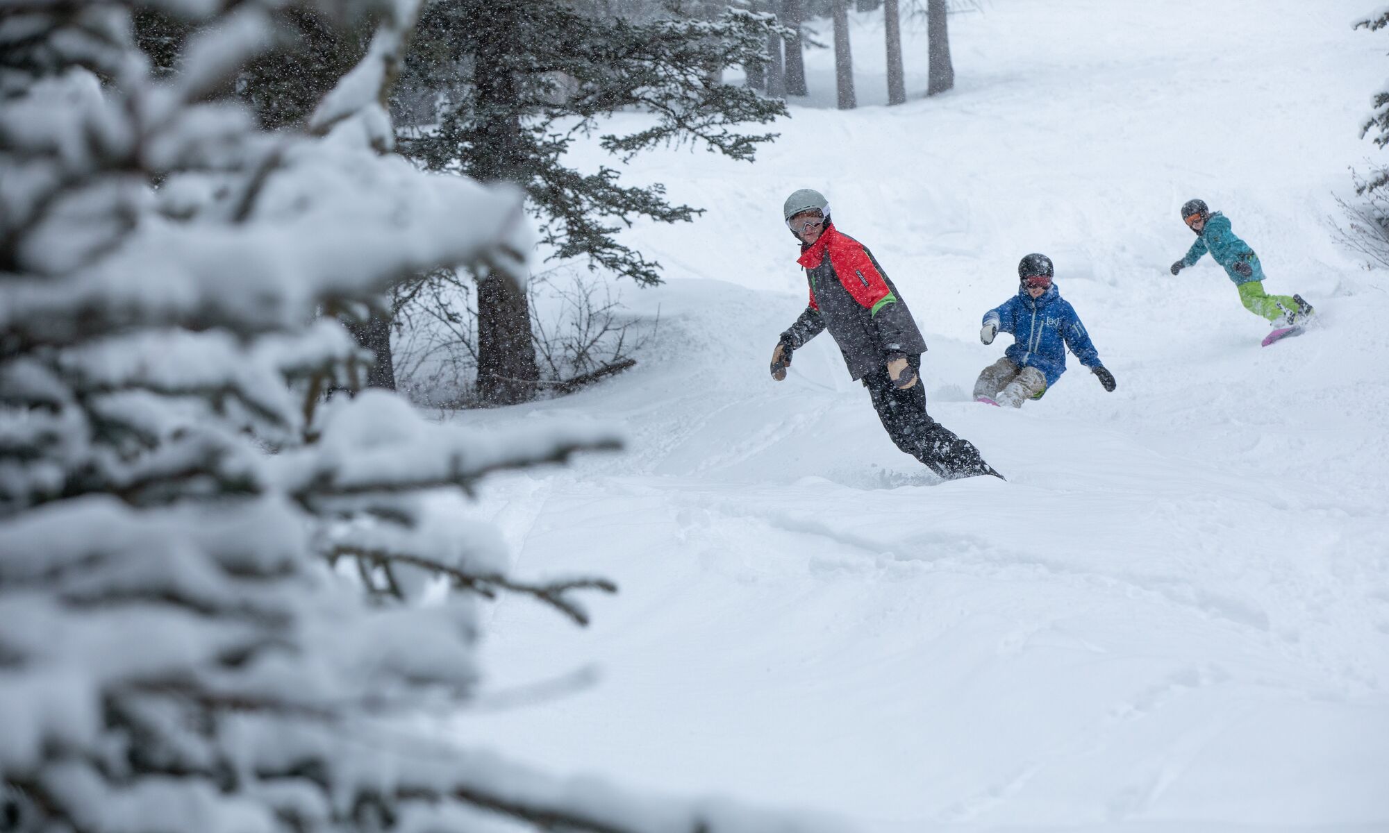 Three people ski down a snowy forested mountain slope at Mt. Norquay in Banff National Park.