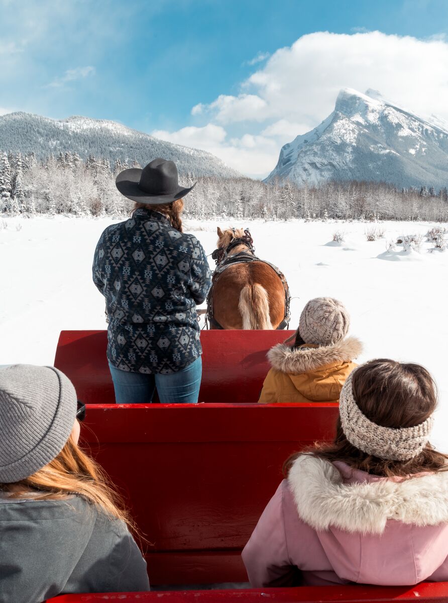 A group of people on a wintery sleigh ride in Banff National Park as seen from inside the sleigh.
